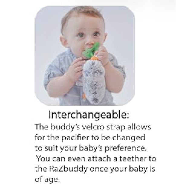 RaZbaby RaZbuddy JollyPop Pacifier Holder w/ Removable Baby Pacifier - 0m+ - BPA Free - Penguin - Image 4